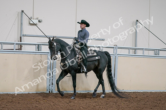 2020 - AB Morgan Horse - Fri, Sept 04 - 08523
