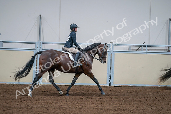2020 - AB Morgan Horse - Fri, Sept 04 - 01817