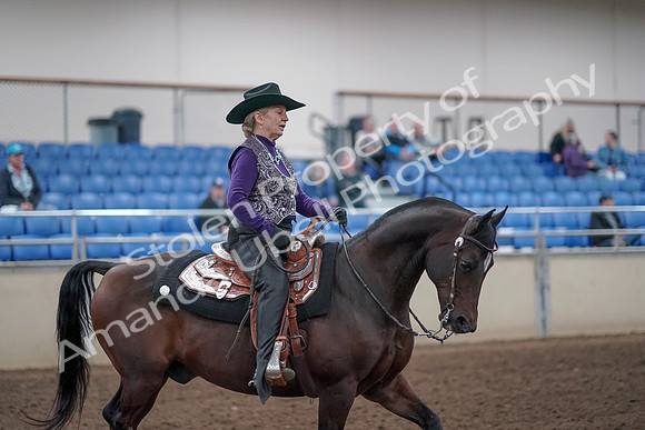 2019 Morgan Horse Show - Aug 31, 2019 - 10788