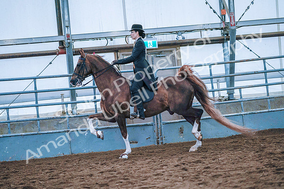 July 20, 2019 - 23749