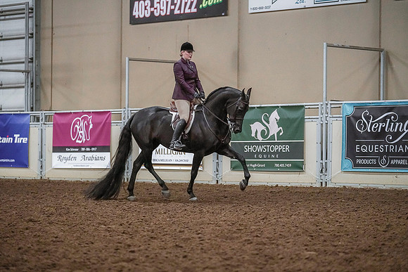 Spring Fling - Saturday - April 20, 2019  -  04637