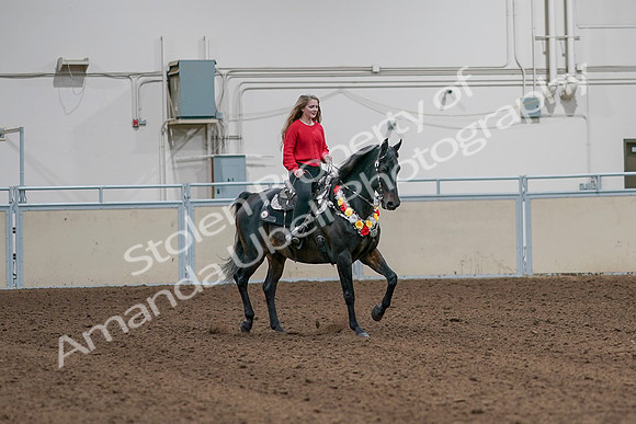 2020 - AB Morgan Horse - Sat, Sept 05 - 10483