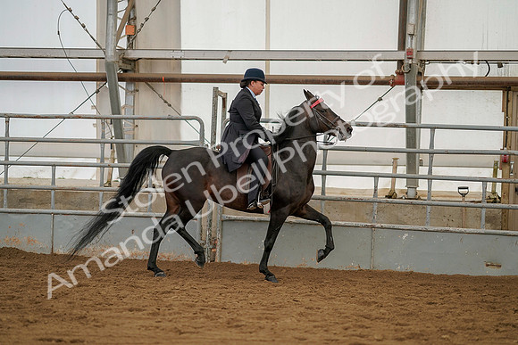 July 20, 2019 - 04519