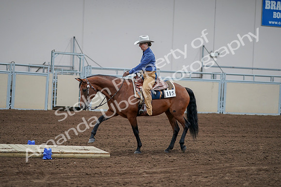 2020 - AB Morgan Horse - Fri, Sept 04 - 00160