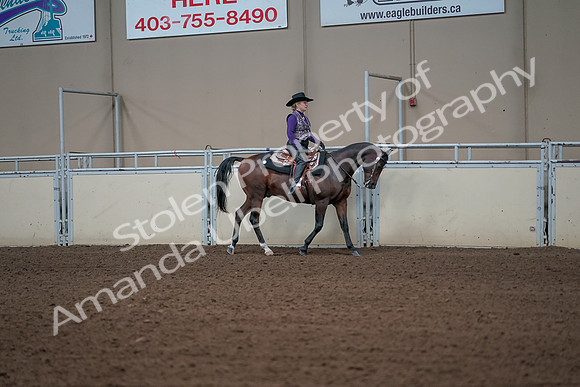 2019 Morgan Horse Show - Aug 31, 2019 - 10736