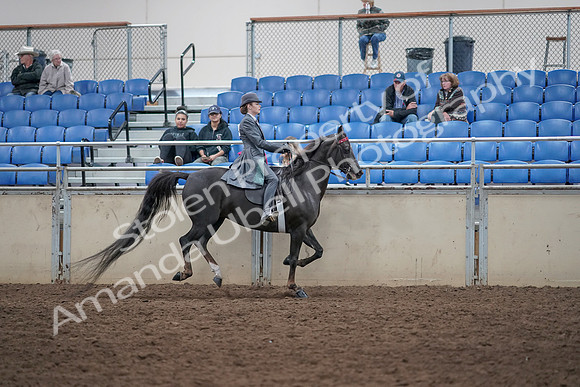 2019 Morgan Horse Show - Aug 31, 2019 - 09730