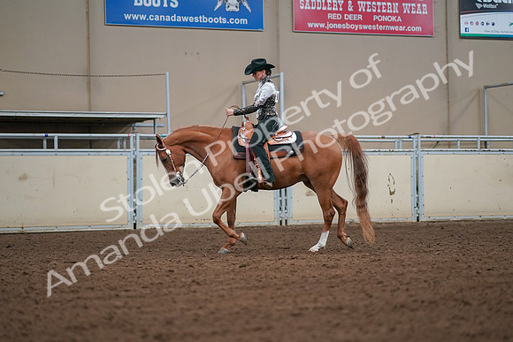 2019 Morgan Horse Show - Aug 30, 2019 - 16782