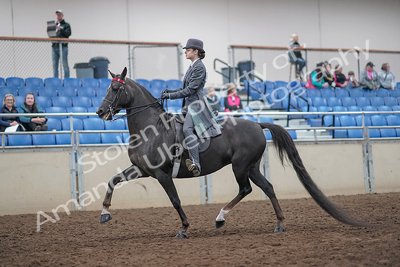 2019 Morgan Horse Show - Aug 31, 2019 - 09266