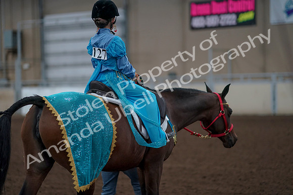 2019 Morgan Horse Show - Aug 31, 2019 - 09962