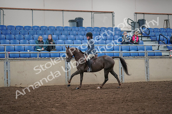 2019 Morgan Horse Show - Aug 31, 2019 - 07329