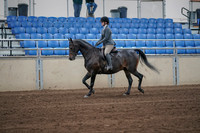 2019 Morgan Horse Show - Sept 01, 2019 - 10890_1