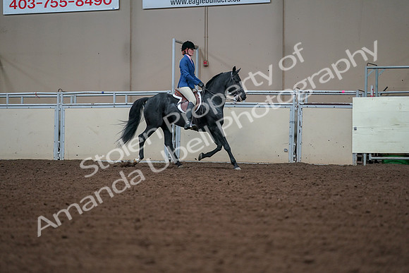 2019 Morgan Horse Show - Aug 30, 2019 - 18563
