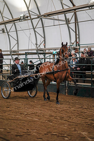 July 19, 2019 - 6929