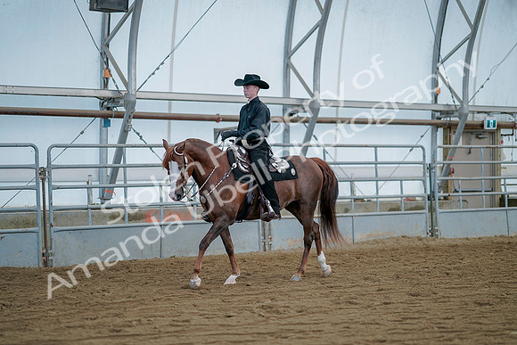 July 21, 2019 - 09178