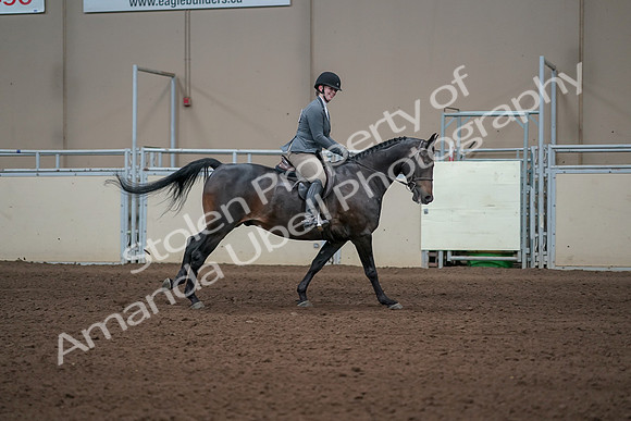 2019 Morgan Horse Show - Sept 01, 2019 - 11124