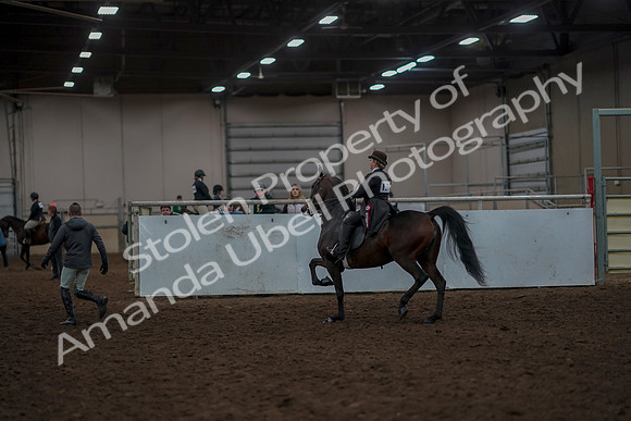2019 Morgan Horse Show - Aug 30, 2019 - 28344