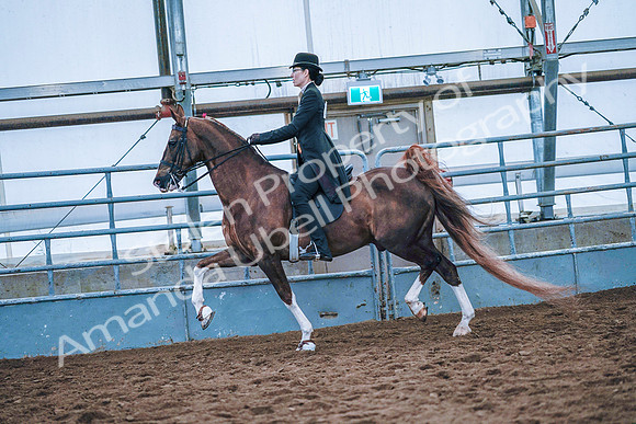 July 20, 2019 - 23750