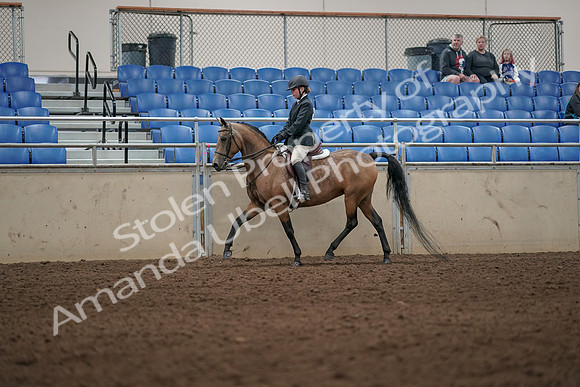2019 Morgan Horse Show - Aug 31, 2019 - 04983