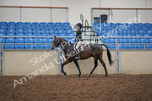 2019 Morgan Horse Show - Aug 30, 2019 - 23131