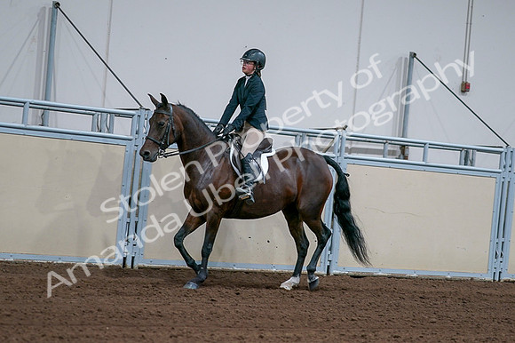 2020 - AB Morgan Horse - Fri, Sept 04 - 01654