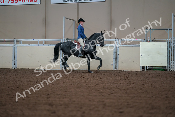 2019 Morgan Horse Show - Aug 30, 2019 - 18566