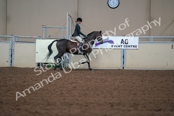 2019 Morgan Horse Show - Aug 30, 2019 - 20812