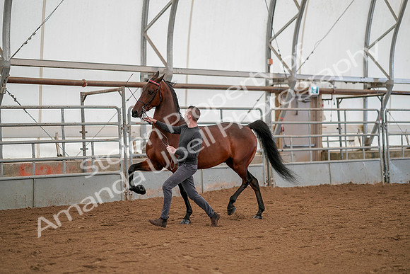 July 19, 2019 - 1167
