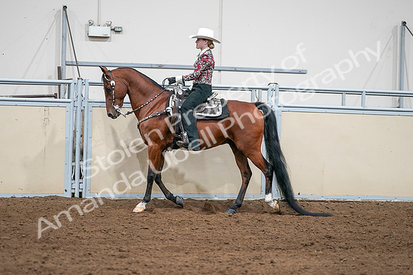 2020 - AB Morgan Horse - Fri, Sept 04 - 08408