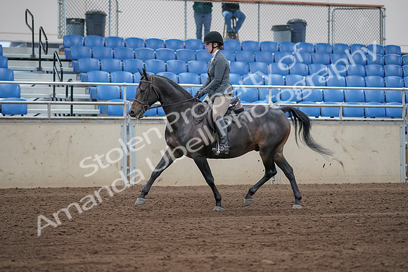 2019 Morgan Horse Show - Sept 01, 2019 - 10934