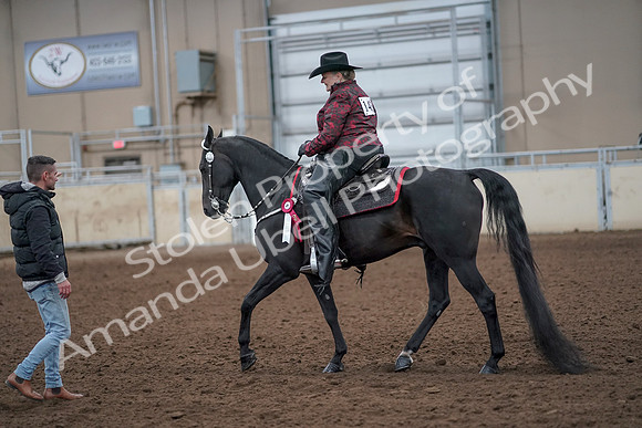2019 Morgan Horse Show - Aug 31, 2019 - 10831