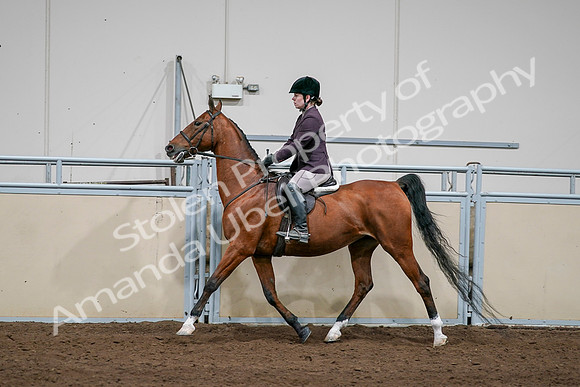 2020 - AB Morgan Horse - Sat, Sept 05 - 03058