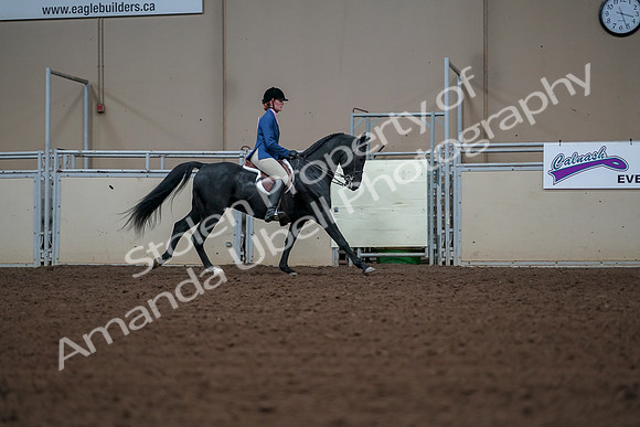 2019 Morgan Horse Show - Aug 30, 2019 - 18619