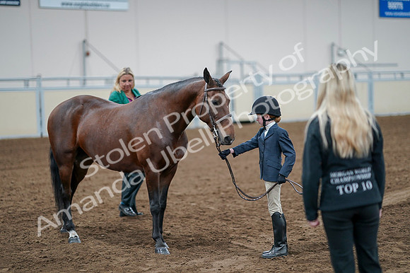 2020 - AB Morgan Horse - Fri, Sept 04 - 01014