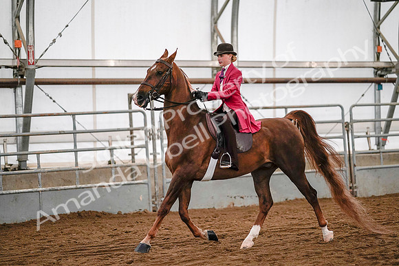 July 19, 2019 - 8938