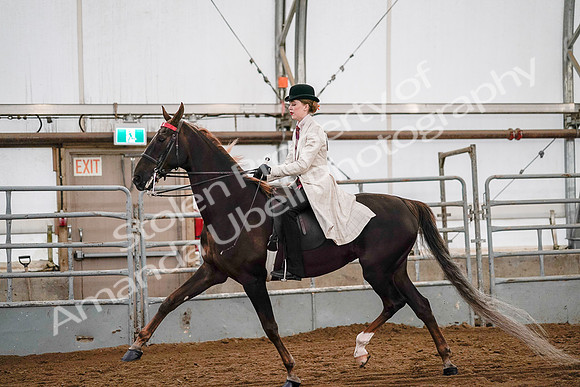 July 19, 2019 - 8994