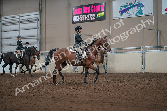 2019 Morgan Horse Show - Aug 31, 2019 - 05187