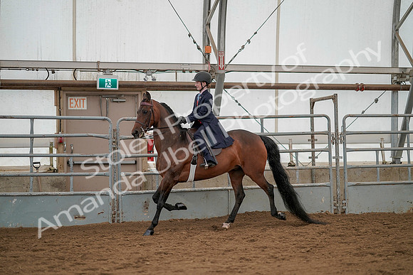 July 20, 2019 - 03607