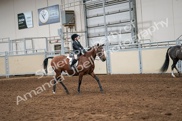 2020 - AB Morgan Horse - Sun, Sept 06 - 07988