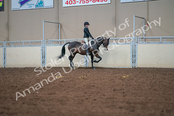 2019 Morgan Horse Show - Aug 30, 2019 - 20874