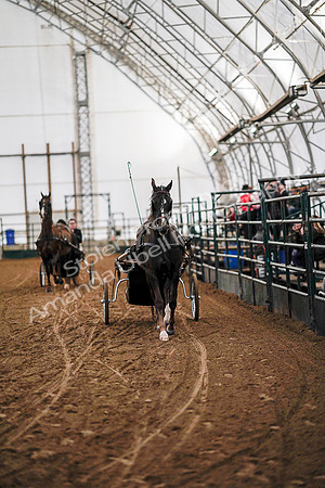 July 19, 2019 - 6836