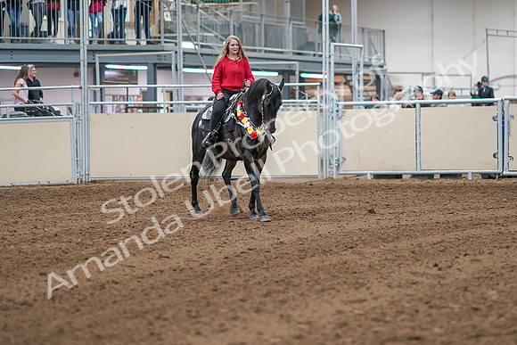 2020 - AB Morgan Horse - Sat, Sept 05 - 10517