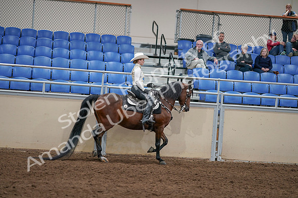 2020 - AB Morgan Horse - Fri, Sept 04 - 08456