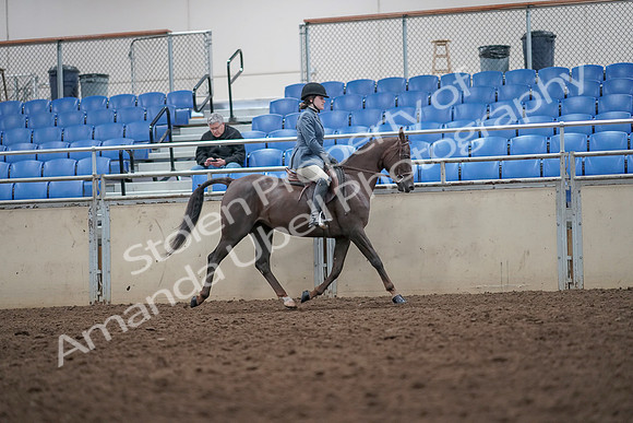2019 Morgan Horse Show - Aug 31, 2019 - 16732