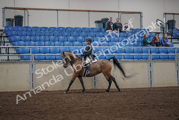 2019 Morgan Horse Show - Aug 31, 2019 - 05147