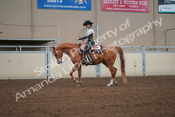 2019 Morgan Horse Show - Aug 30, 2019 - 16783