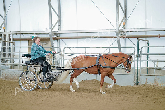 July 21, 2019 - 09358