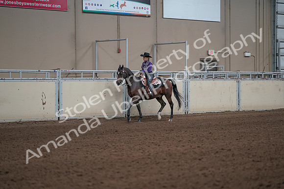 2019 Morgan Horse Show - Aug 31, 2019 - 10572