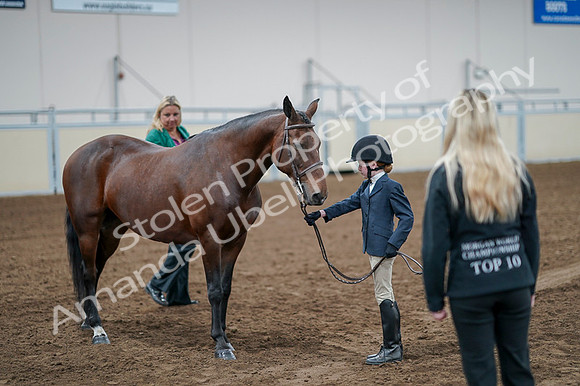 2020 - AB Morgan Horse - Fri, Sept 04 - 01013