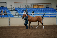 2020 - AB Morgan Horse - Fri, Sept 04 - 00876