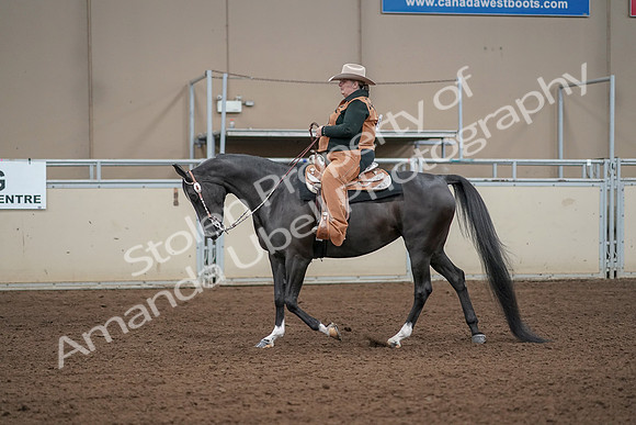 2019 Morgan Horse Show - Aug 31, 2019 - 06057